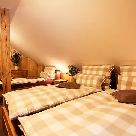 Buffalo 4*