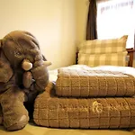 Buffalo بيت ضيافة