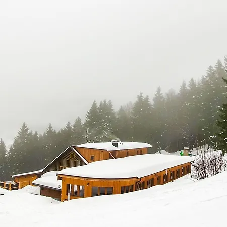 Buffalo Guest house